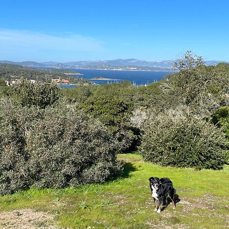 Appartamento Latitudes 43 Porquerolles Esterno foto