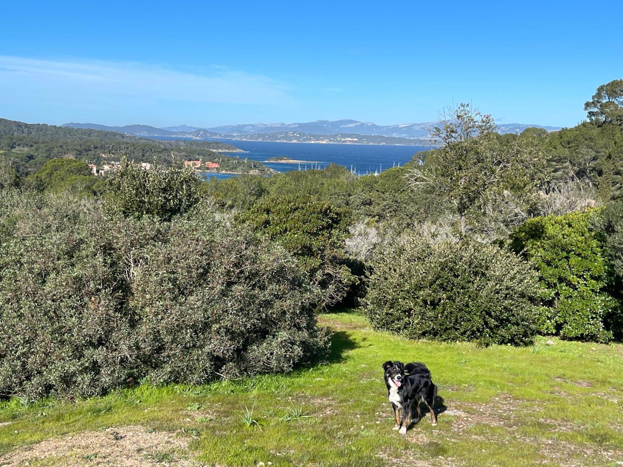 Appartamento Latitudes 43 Porquerolles Esterno foto