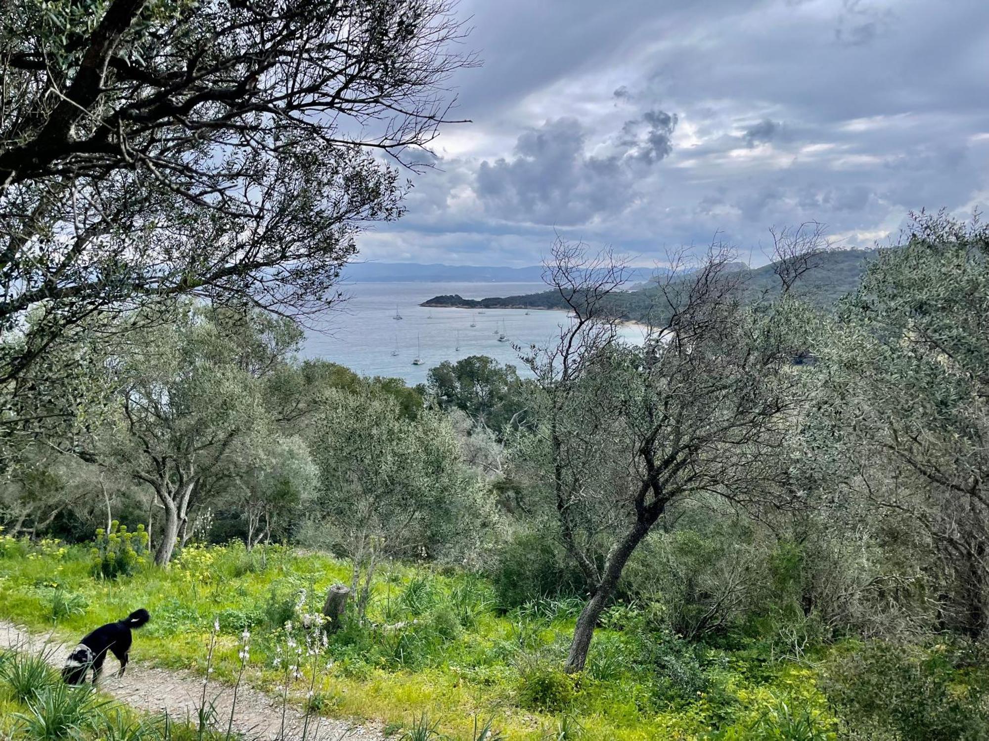 Appartamento Latitudes 43 Porquerolles Esterno foto