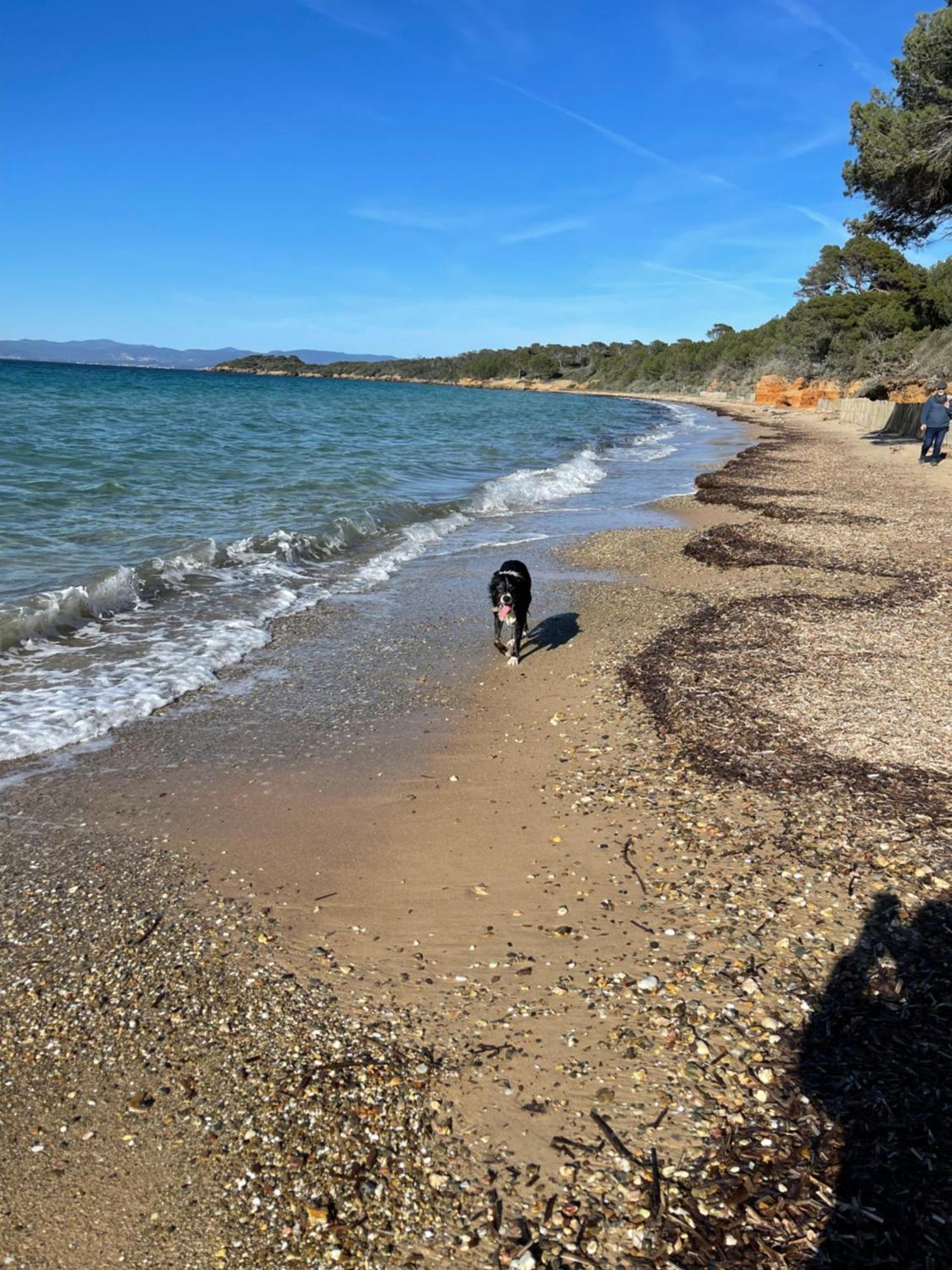 Appartamento Latitudes 43 Porquerolles Esterno foto